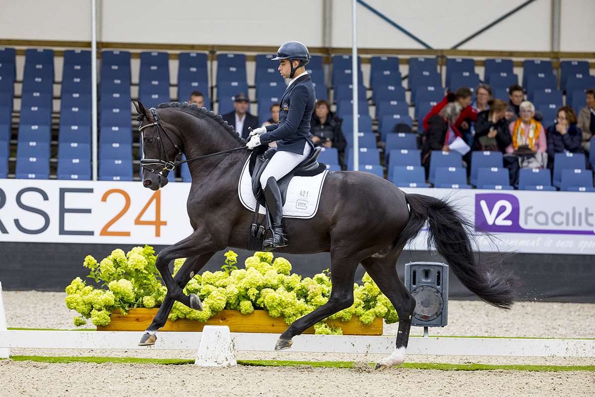 Glock's Energy Stallion